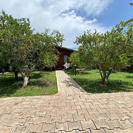 Yildiz Çıralı